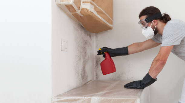 Professional Black Mold Remediation technician working in Austin, TX