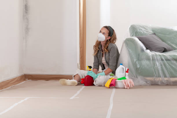 Reliable Black Mold Remediation contractor in Austin, TX by Mold Remediation HQ